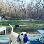 Matthew Radanke - @matthewradanke - Instagram