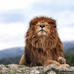 Matthew - @matthew_ragonese14 - Instagram