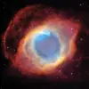 matthew.rahman - @matthew.rahman - TikTok