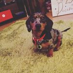 matthew raine - @matthew_raine17 - Instagram