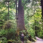 Matthew Rajala - @mgrajala - Instagram