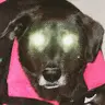 Matthew Rajala - @matthewrajala - TikTok