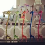 Matthew Ranallo - @toolsbleakannon - Instagram