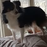 Matthew Ranallo - @matthewranallo - Instagram