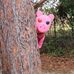 Matthew Rayne - Facebook