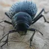 Matthew Rayner - @matthew.rayner7 - TikTok