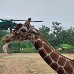 Matthew Reason - @aspiring_albatross - Instagram