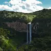 rexfordmatthew - @rexfordmatthew - TikTok