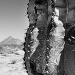 Matthew Ricker - @tucson_dwellings - Instagram