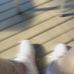 Mathew Rigney - Facebook