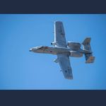 Matthew Rigney - @gunny327 - Instagram