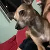 Matthew Ro - @matthew.ro5 - TikTok