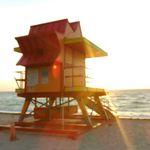 Matthew Roach - @sobe_shells - Instagram