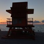 Matthew Roach - @matthewroach636 - Instagram