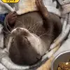 Matthew Robinson - @matthew.robinson415 - TikTok