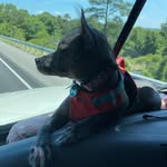 Matthew Roehrig - @matthewroehrig - Instagram
