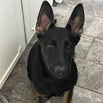 Matthew Root - @matthew.g.root - Instagram