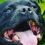 Matthew Vicars-rosier - @mattrosier - Instagram