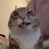 Mattea.Rosko - @mattea.rosko - TikTok