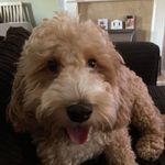 Matthew Broughton - @broughton.matthew - Instagram