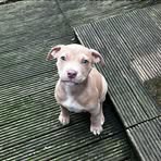 Matthew Rowlands - Facebook