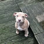 Matthew Rowlands - @rowlandsmatthew - Instagram