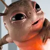 matthewroxburgh8 - @matthewroxburgh - TikTok