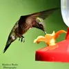 MatthewRudin_Photography - @matthewrudin_photography - TikTok