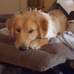 Matthew Ruffing - @mattruff.13 - Instagram