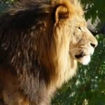 Matthew Rydberg - @8212.matthew - Instagram