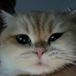 Matthew Sadowski - @matthew.sadowski - Instagram