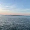 Мэтью ДиСальво - @matthew.disalvo3 - TikTok