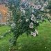 Matthew Schill - Facebook
