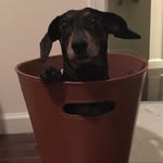 Matthew Schnell - @healinghands8921 - Instagram