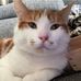 Matthew Scholten - Facebook