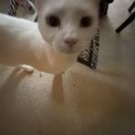 Matthew Schouten - Facebook