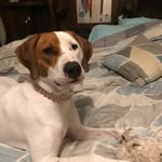 Wesley - @schreckenbachmatthew - Instagram