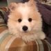 Matthew Situ - Facebook