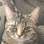 Grant Matthew Seabolt - @oliveristhebestcatever - Instagram