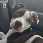 Matthew Seller - @matthew.seller.90 - Instagram