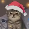 Matthew serrano - @matthew.serrano2 - TikTok