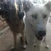 matthewserrano12 - @matthewserrano12 - TikTok