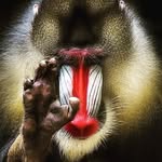 Matthew Campbell - @matthewservice - Instagram