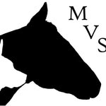 Matthews Veterinary Services - @matthewsvetservices - Instagram