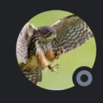 Matthew Shallard - @matthewshallard - Instagram