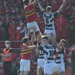 Matthew Shalloe - @matthewshalloe - Instagram