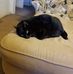 Matthew Shellhammer - Facebook