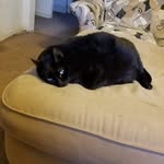 Matthew Shellhammer - @matthewshellhammer - Instagram