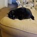 Matthew Shellhammer - Facebook