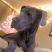 Matthew Sherwin - Facebook